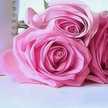 Amna Rashed