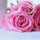 Amna Rashed
