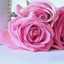 Amna Rashed