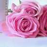 Amna Rashed
