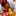 CoCo_Pine CoCo_Pine