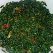 Sadiq Tunau