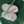 Mrs_Dimsan Mrs_Dimsan