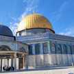 🇵🇸🌸رحيق الورود🌸🇵🇸