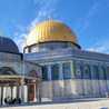 🇵🇸🌸رحيق الورود🌸🇵🇸