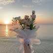 Amal Essam