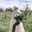manar