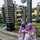 Hana Alshodin