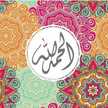 إسراء حيدر
