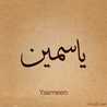 Yasmeen Saad
