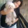 asima sinaga