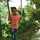 Dita Lathif Dita Lathif