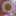 Ryooma_q8