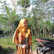 Shilla qurota