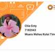 Chie Enty