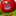 Hot Tomato Hot Tomato