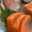 Plearn