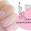 Anhi Semipermanentes