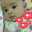 Dila