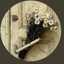 Rawan 