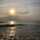 assalh_1952 assalh_1952