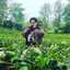 Dearisa Glory