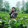 Dearisa Glory