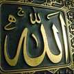 Nisha Noor