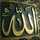 Nisha Noor Nisha Noor