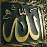 Nisha Noor