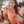 Vinita Somesh Thanvi