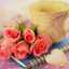 soha_mohammed