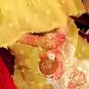 Sara Al-jassim Sara Al-jassim