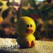 Jake P.