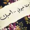 Safaa Ahmed