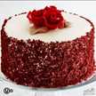 Nouran shammout