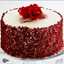 Nouran shammout