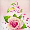 🍓🍓Cuisine zainab 🍓🍓