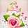 🍓🍓Cuisine zainab 🍓🍓 🍓🍓Cuisine zainab 🍓🍓