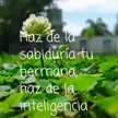 Sil Leiva