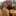 copeliable
