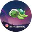 Tortuga Espacial