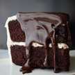 The Chocolate Plate
