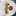 Indri Nelam Indri Nelam