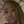 Thelma
