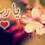 Nour Alyakine
