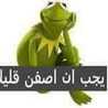 حياتي حياتي وبس