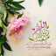 Emy Mostafa