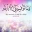 ام عبدالله شماخ 