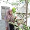 desy zulfa
